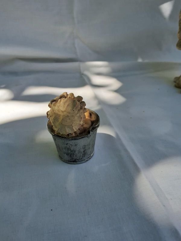 Item 869547 - Image 2