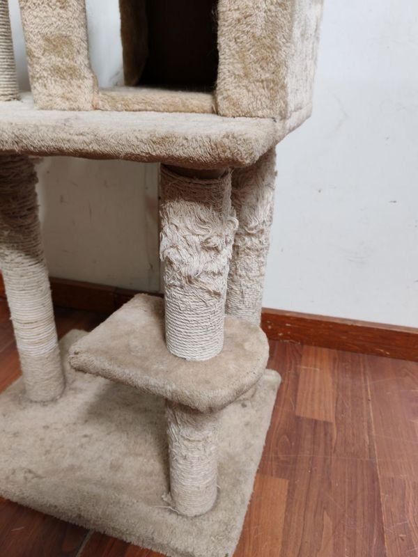 Item 875770 - Image 5