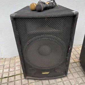 Parlante Lexsen con Potencia y Micrófonos - imagen 2