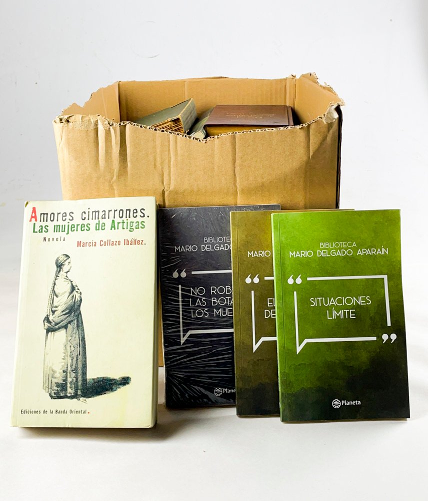 Lote siguiente: Colección de libros de Miguel Cervantes y Amores cimarrones