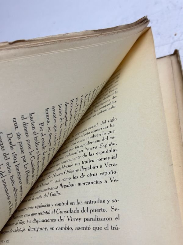 Libro histórico sobre la guerra en Nueva España - imagen 7