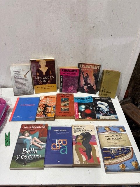 Lote de Libros Variados