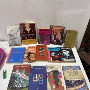 Lote siguiente: Lote de Libros Variados