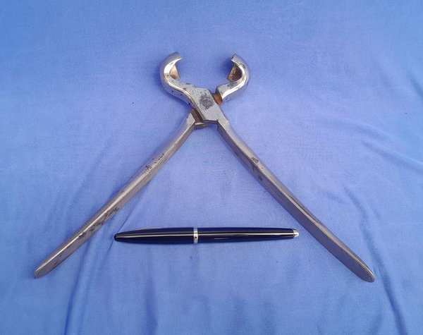 Pinza de Herrador "Muttoni Hnos S.A."