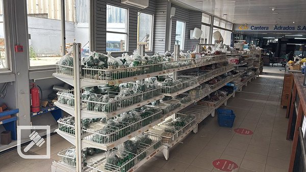 Estanterías Metálicas con Productos Verdes en Local Comercial