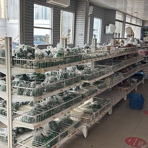 Lote anterior: Estanterías Metálicas con Productos Verdes en Local Comercial
