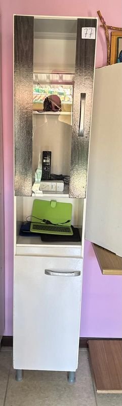 Lote siguiente: Armario Vertical de 2 Puertas con Estantería y Ventana