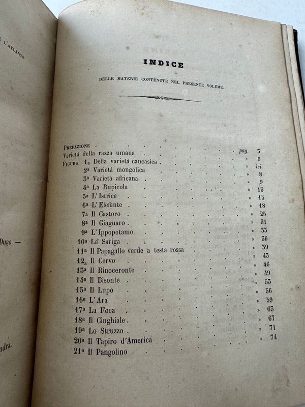 Libro antiguo de historia natural con ilustraciones - imagen 5