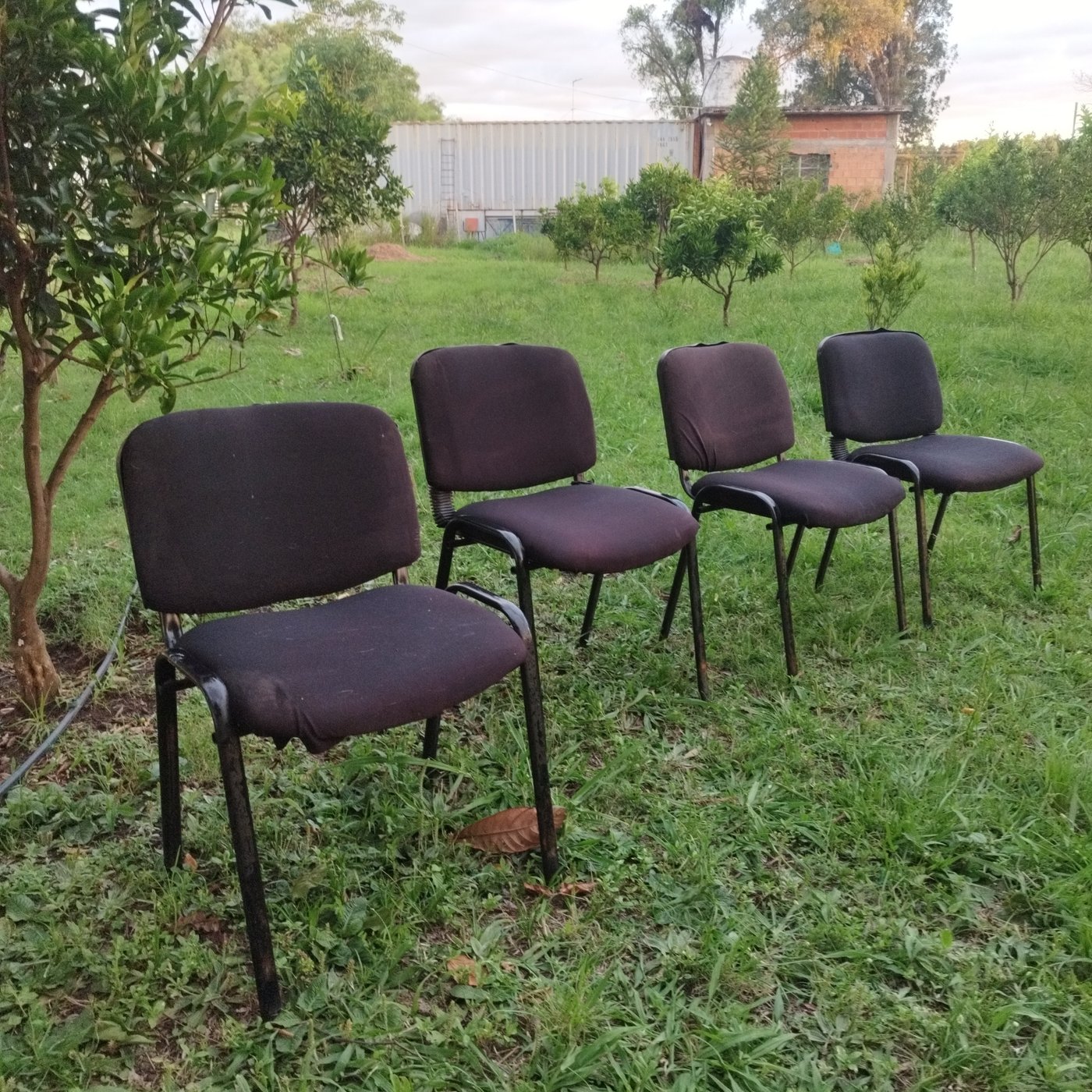 Item 18297 - Image 0