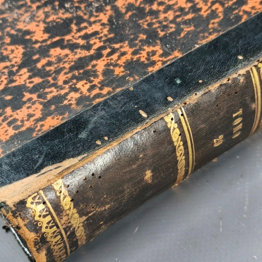 Item 18625 - Image 8