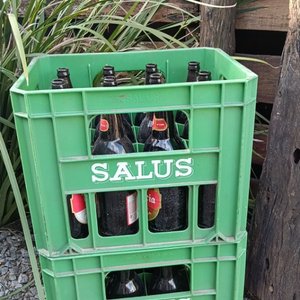 Dos Cajas Plásticas Verdes con Botellas Vacías Salus - imagen 2