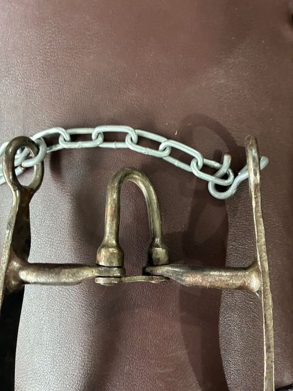 Item 848950 - Image 0