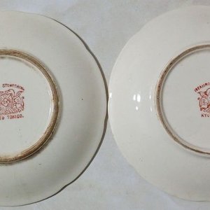 Platillo de Loza Japonesa "Ideal Iron Stone China" con Cerezos - Precio por Unidad - imagen 2