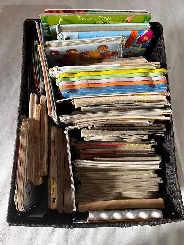 Cajón con Libros Infantiles y Educativos Varios