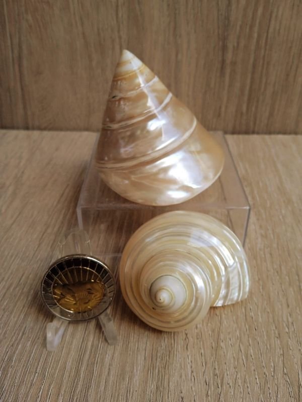 Item 884182 - Image 0