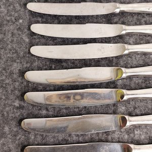 Set de 8 Cuchillos de Acero Inoxidable Marca Wolf - imagen 2