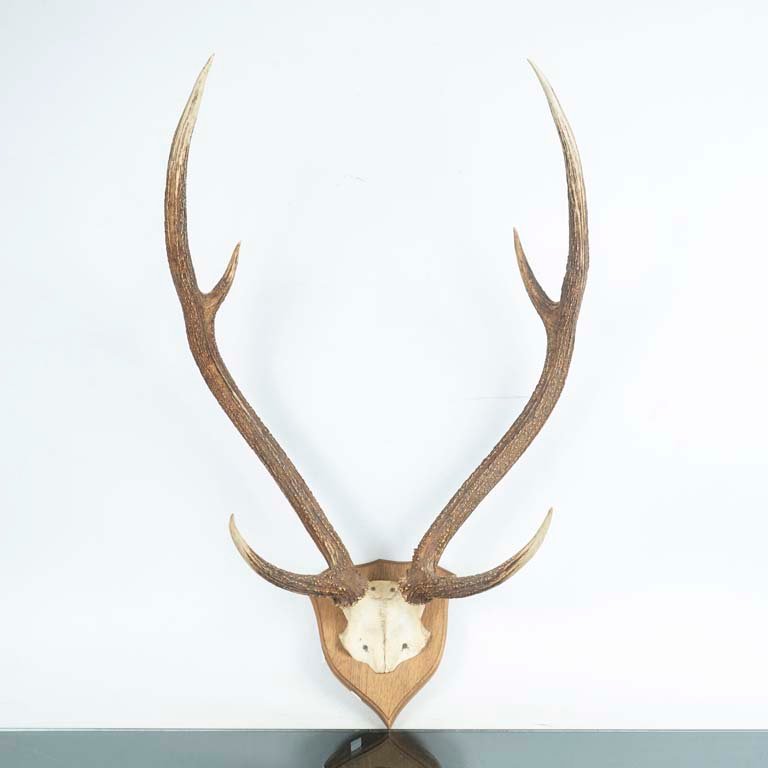 Item 2110301 - Image 0