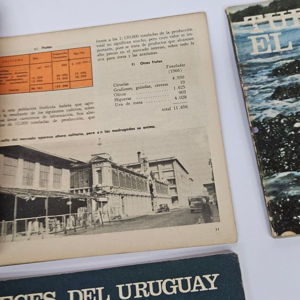 Libros sobre temáticas del Uruguay - imagen 3