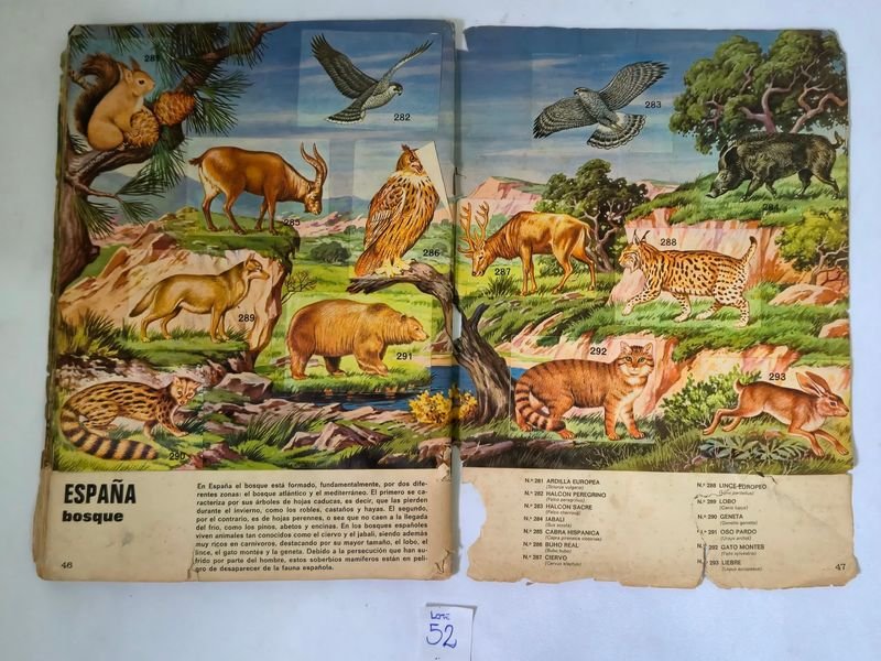 Item 844753 - Image 20