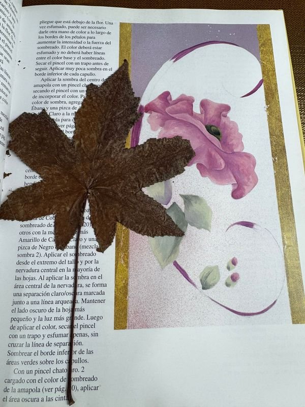 Colección de libros sobre decoración en español - imagen 10
