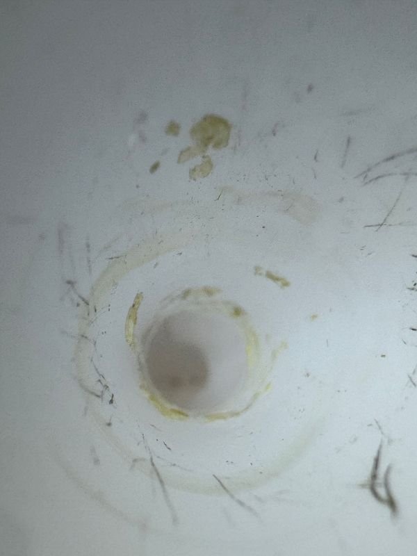 Item 872070 - Image 4