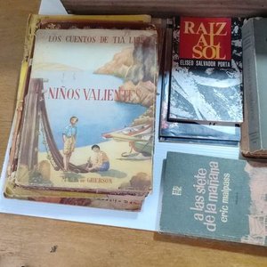 Lote de Libros de Estudio, Colecciones y Textos Varios - imagen 13
