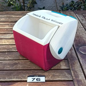 Conservadora portátil Little Lunchmate by Igloo y dos Cubeteras de Hilo de aluminio - imagen 6