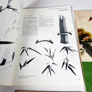 Cuatro libros orientales diferentes - imagen 4