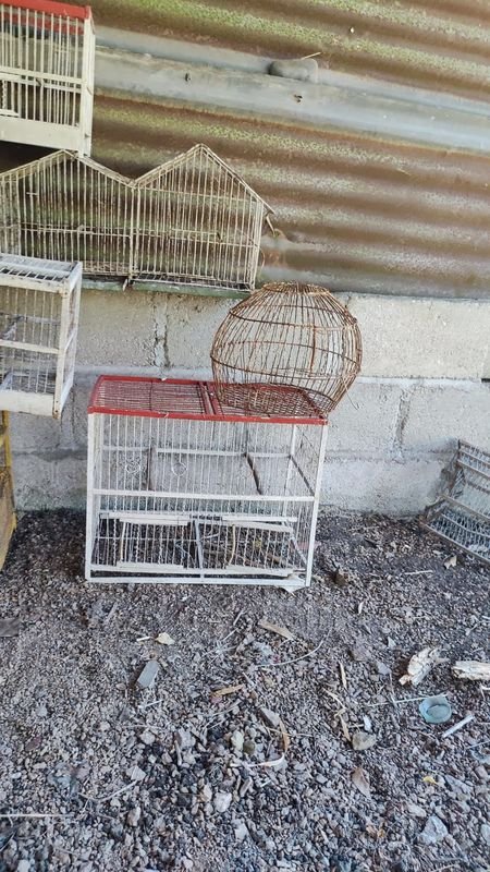 Item 869947 - Image 6