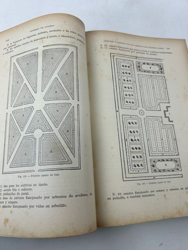 Tratado de Fruticultura de D. Tamaro, 1920 - imagen 3