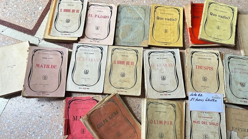 Colección de libros literarios '25 Obras Literarias' - imagen 2