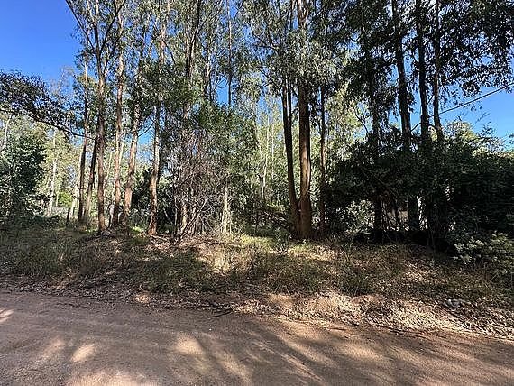 Item 31735 - Image 0