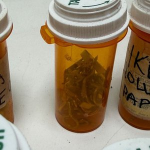 Lote de Frascos Organizadores con Tornillos y Elementos Varios - imagen 3