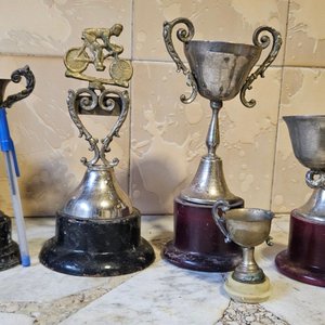Lote de Trofeos Varios y Adornos Metálicos y Cerámicos - imagen 3