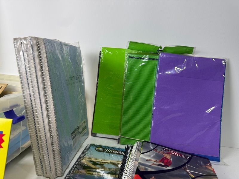Lote de papelería y artículos escolares en excelente estado - imagen 3