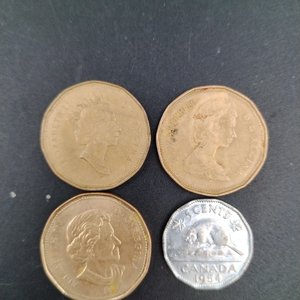 4 Monedas Canadienses: 3 Dólares y 1 de 5 Centavos de 1954 - imagen 1