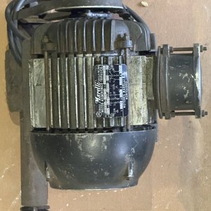 Motor Eléctrico Trifásico Marelli con Polea - imagen 3