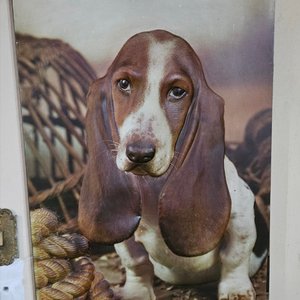 Lote de Velas, Relojes, Llavero, Cuadro de Perro y Murales - imagen 4
