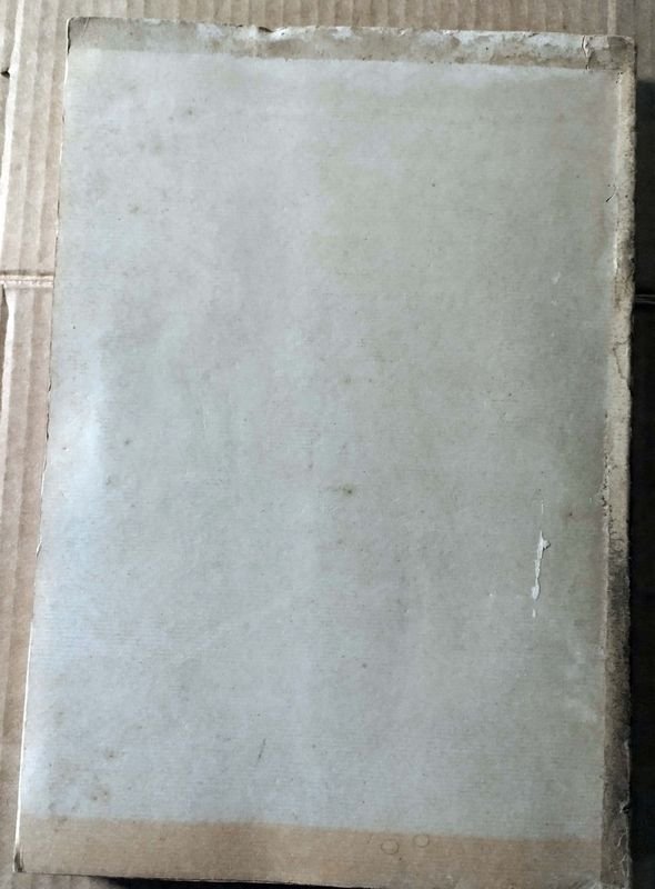 Libro de Rafael Schiaffino sobre Teodoro M. Vilardobo - imagen 6