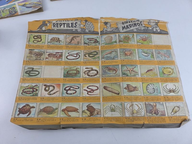 Colección de Álbumes Antiguos con Ilustraciones Coloridas - imagen 4