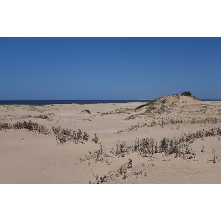 Item 2093554 - Image 1