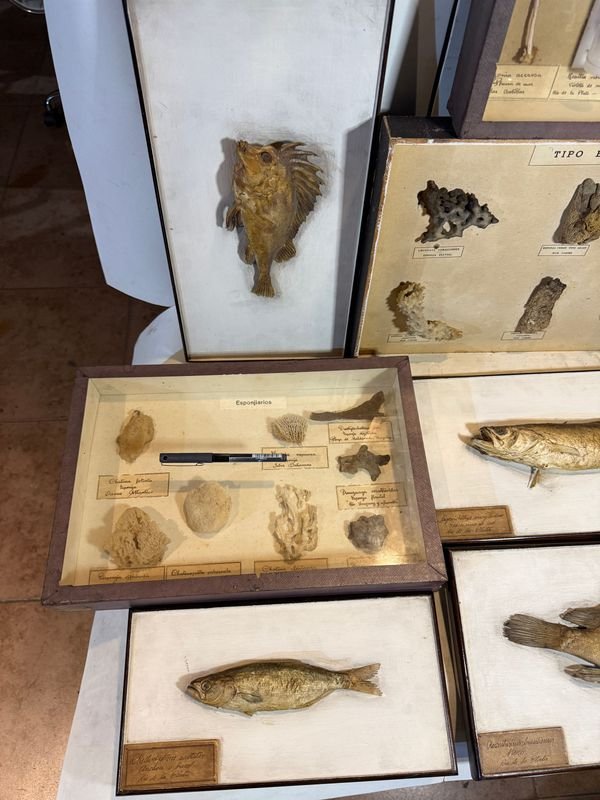 Item 851800 - Image 2