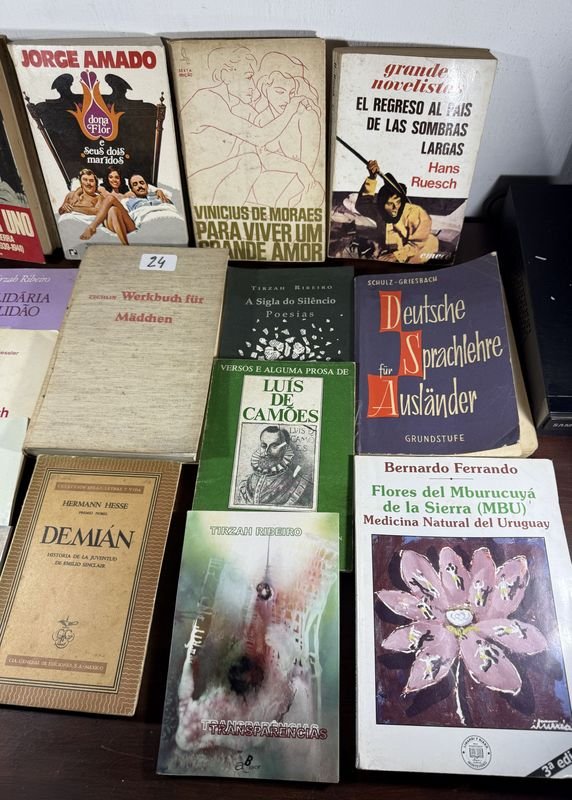 Lote de libros variados para coleccionistas - imagen 3