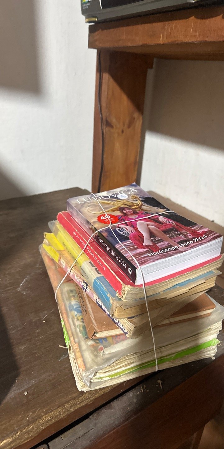 Lote de Revistas y Publicaciones Varias