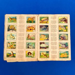 Álbum de Figuritas "Animales de Todo el Mundo" - Colección Fher - imagen 4