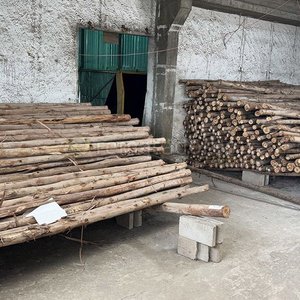 Lote anterior: Lote de Rollizos de Madera para Construcción o Venta