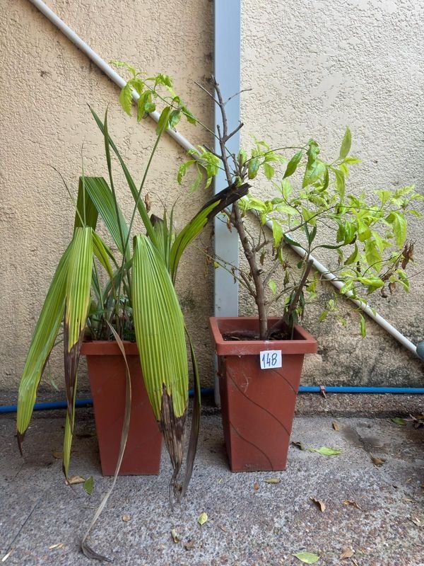 Item 892404 - Image 1