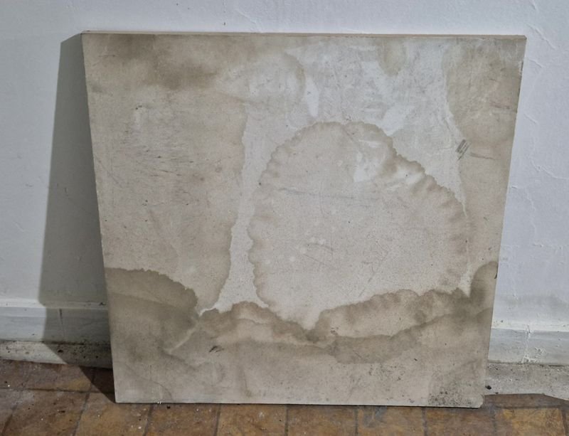 Item 847338 - Image 0