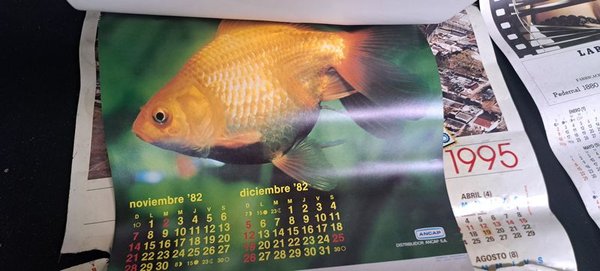Calendarios de FUNSA y ANCAP (Animales) - imagen 8
