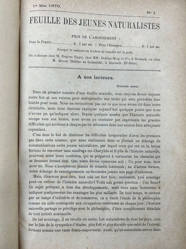 Item 924180 - Image 4